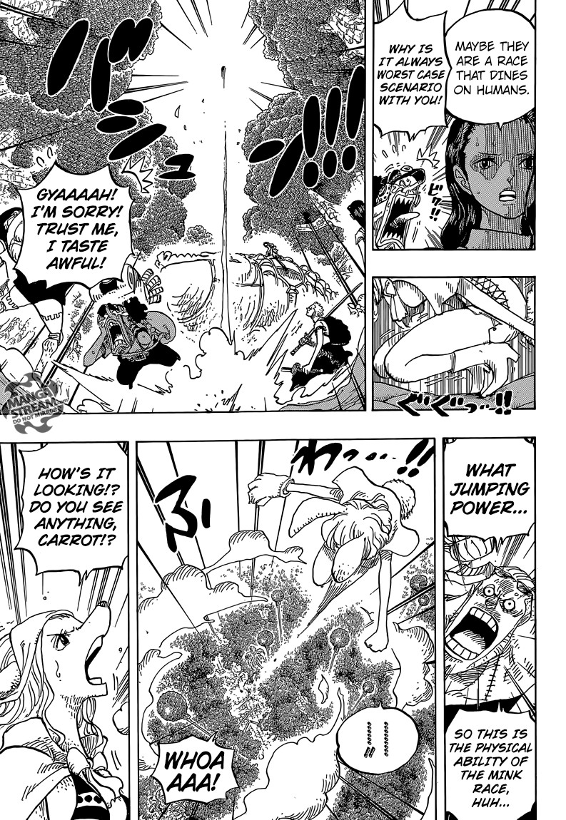 One Piece Chapter 805 6